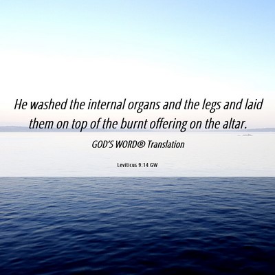 Picture 06 - Leviticus 9:14 GW - He washed the internal organs and the legs and - Bible Verse Picture
