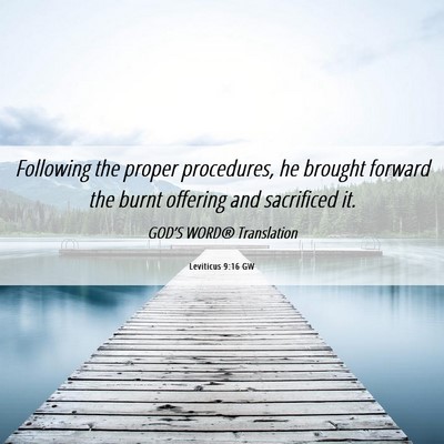 Picture 06 - Leviticus 9:16 GW - Following the proper procedures, he brought - Bible Verse Picture