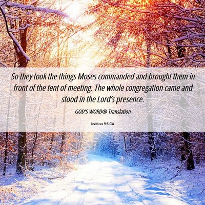 Picture 06 - Leviticus 9:5 GW - So they took the things Moses commanded and - Bible Verse Picture