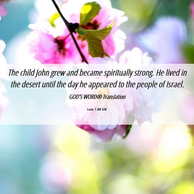 Picture 06 - Luke 1:80 GW - The child John grew and became spiritually - Bible Verse Picture