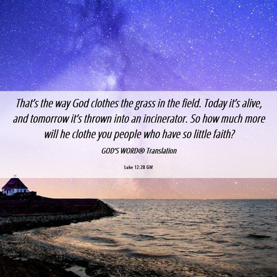 Picture 06 - Luke 12:28 GW - That’s the way God clothes the grass in the - Bible Verse Picture