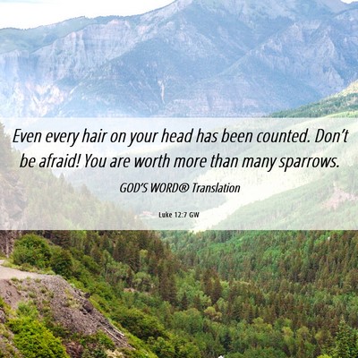 Picture 06 - Luke 12:7 GW - Even every hair on your head has been counted. - Bible Verse Picture