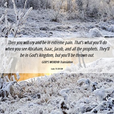 Picture 06 - Luke 13:28 GW - Then you will cry and be in extreme pain. - Bible Verse Picture