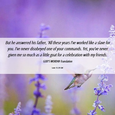 Picture 06 - Luke 15:29 GW - But he answered his father, ‘All these years - Bible Verse Picture