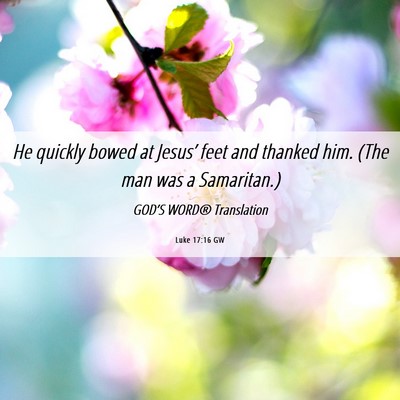 Picture 06 - Luke 17:16 GW - He quickly bowed at Jesus’ feet and thanked - Bible Verse Picture