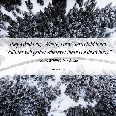 Picture 06 - Luke 17:37 GW - They asked him, “Where, Lord?” Jesus told - Bible Verse Picture
