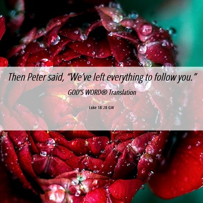 Picture 06 - Luke 18:28 GW - Then Peter said, “We’ve left everything to - Bible Verse Picture