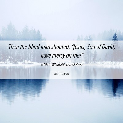 Picture 06 - Luke 18:38 GW - Then the blind man shouted, “Jesus, Son of - Bible Verse Picture