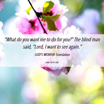 Picture 06 - Luke 18:41 GW - “What do you want me to do for you?” The - Bible Verse Picture