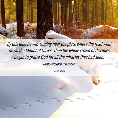 Picture 06 - Luke 19:37 GW - By this time he was coming near the place where - Bible Verse Picture