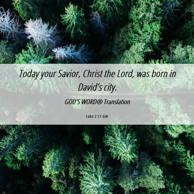 Picture 06 - Luke 2:11 GW - Today your Savior, Christ the Lord, was born in - Bible Verse Picture