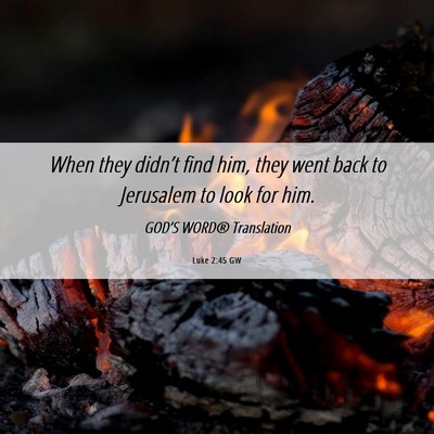 Picture 06 - Luke 2:45 GW - When they didn’t find him, they went back to - Bible Verse Picture