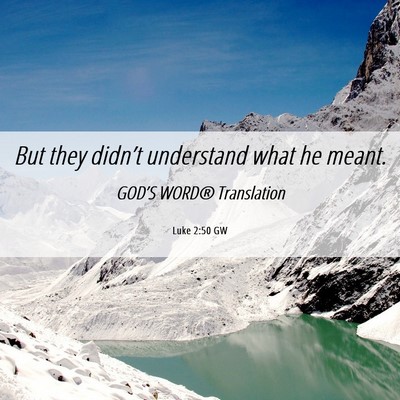 Picture 06 - Luke 2:50 GW - But they didn’t understand what he - Bible Verse Picture