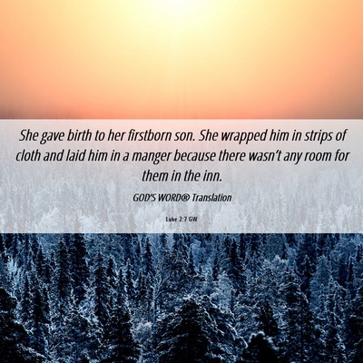 Picture 06 - Luke 2:7 GW - She gave birth to her firstborn son. She wrapped - Bible Verse Picture