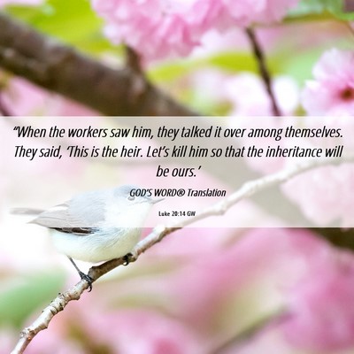 Picture 06 - Luke 20:14 GW - “When the workers saw him, they talked it over - Bible Verse Picture