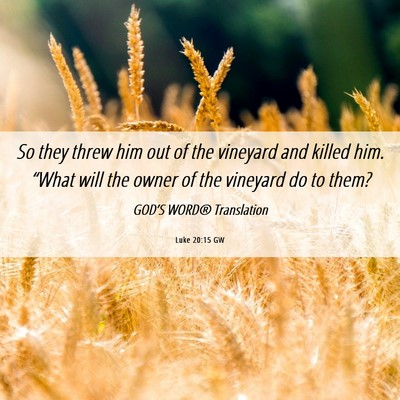 Picture 06 - Luke 20:15 GW - So they threw him out of the vineyard and killed - Bible Verse Picture