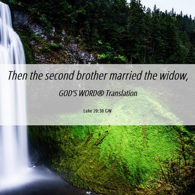 Picture 06 - Luke 20:30 GW - Then the second brother married the - Bible Verse Picture