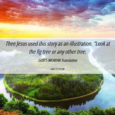 Picture 06 - Luke 21:29 GW - Then Jesus used this story as an illustration. - Bible Verse Picture