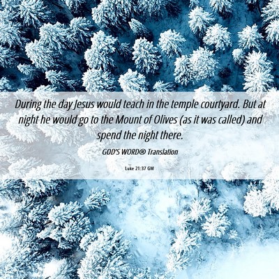 Picture 06 - Luke 21:37 GW - During the day Jesus would teach in the temple - Bible Verse Picture