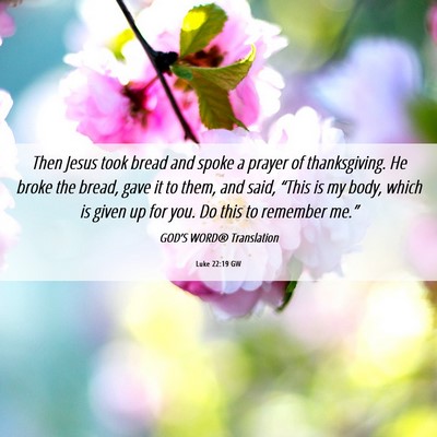 Picture 06 - Luke 22:19 GW - Then Jesus took bread and spoke a prayer of - Bible Verse Picture
