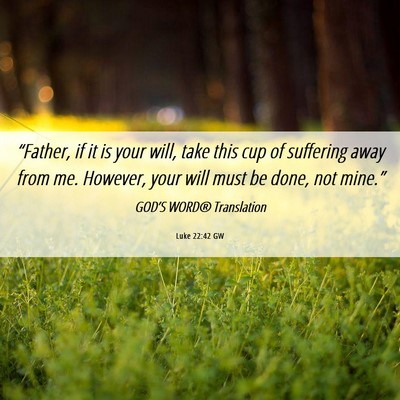 Picture 06 - Luke 22:42 GW - “Father, if it is your will, take this cup of - Bible Verse Picture