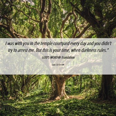 Picture 06 - Luke 22:53 GW - I was with you in the temple courtyard every day - Bible Verse Picture