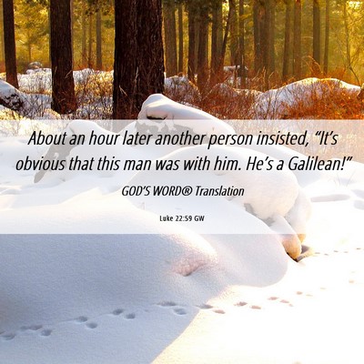 Picture 06 - Luke 22:59 GW - About an hour later another person insisted, - Bible Verse Picture