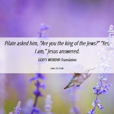Picture 06 - Luke 23:3 GW - Pilate asked him, “Are you the king of the - Bible Verse Picture