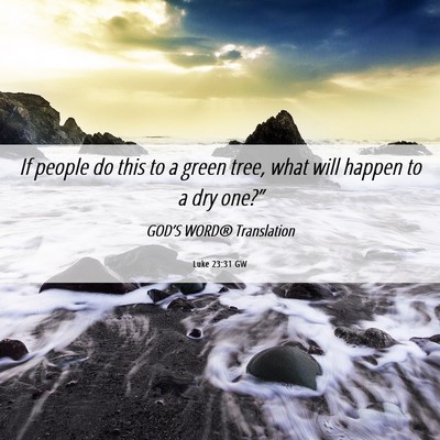 Picture 06 - Luke 23:31 GW - If people do this to a green tree, what will - Bible Verse Picture