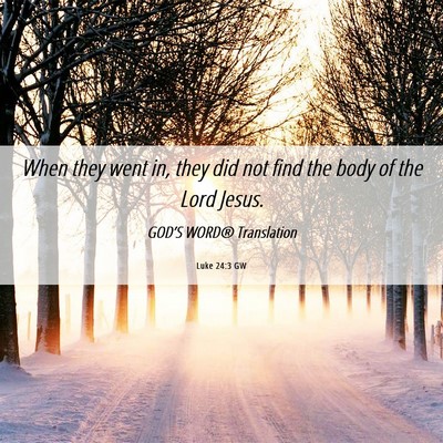 Picture 06 - Luke 24:3 GW - When they went in, they did not find the body of - Bible Verse Picture