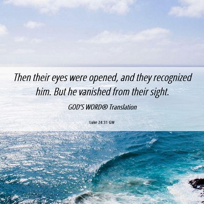 Picture 06 - Luke 24:31 GW - Then their eyes were opened, and they recognized - Bible Verse Picture