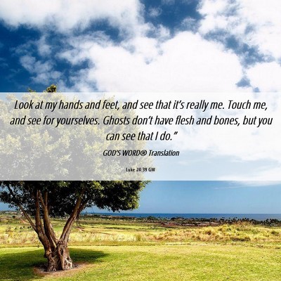 Picture 06 - Luke 24:39 GW - Look at my hands and feet, and see that it’s - Bible Verse Picture