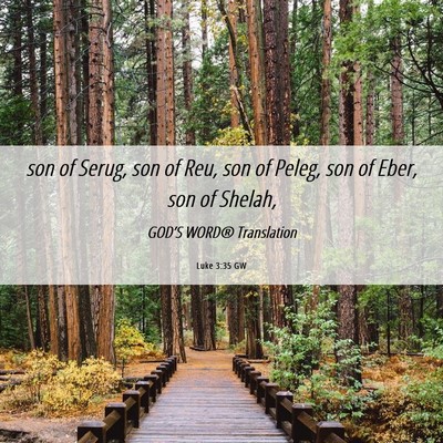 Picture 06 - Luke 3:35 GW - son of Serug, son of Reu, son of Peleg, son of - Bible Verse Picture