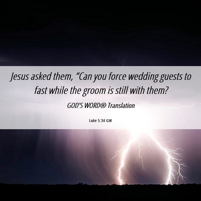 Picture 06 - Luke 5:34 GW - Jesus asked them, “Can you force wedding guests - Bible Verse Picture