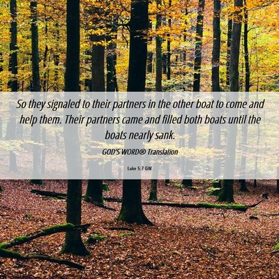 Picture 06 - Luke 5:7 GW - So they signaled to their partners in the other - Bible Verse Picture