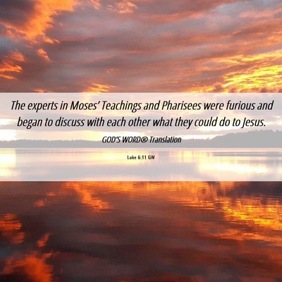 Picture 06 - Luke 6:11 GW - The experts in Moses’ Teachings and Pharisees - Bible Verse Picture