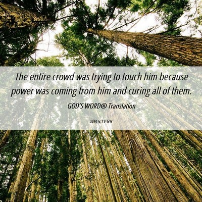 Picture 06 - Luke 6:19 GW - The entire crowd was trying to touch him because - Bible Verse Picture