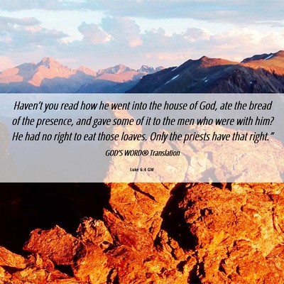 Picture 06 - Luke 6:4 GW - Haven’t you read how he went into the house of - Bible Verse Picture