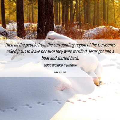 Picture 06 - Luke 8:37 GW - Then all the people from the surrounding region - Bible Verse Picture