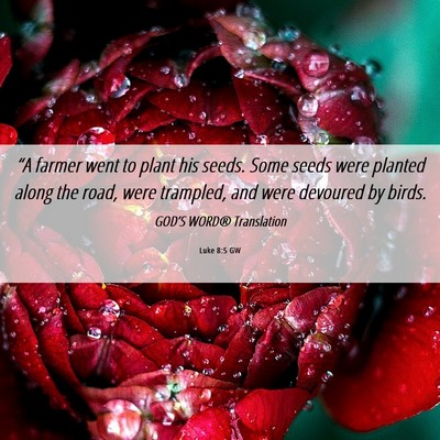 Picture 06 - Luke 8:5 GW - “A farmer went to plant his seeds. Some seeds - Bible Verse Picture
