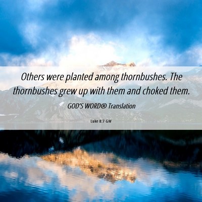 Picture 06 - Luke 8:7 GW - Others were planted among thornbushes. The - Bible Verse Picture