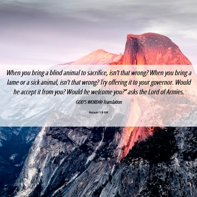 Picture 06 - Malachi 1:8 GW - When you bring a blind animal to sacrifice, - Bible Verse Picture