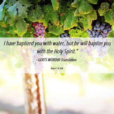 Picture 06 - Mark 1:8 GW - I have baptized you with water, but he will - Bible Verse Picture