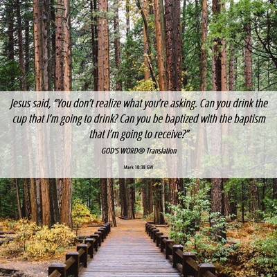Picture 06 - Mark 10:38 GW - Jesus said, “You don’t realize what you’re - Bible Verse Picture