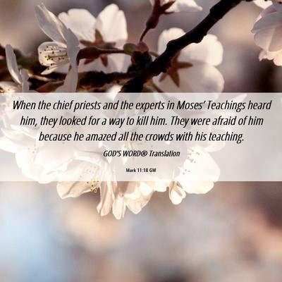 Picture 06 - Mark 11:18 GW - When the chief priests and the experts in - Bible Verse Picture