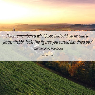 Picture 06 - Mark 11:21 GW - Peter remembered what Jesus had said, so he said - Bible Verse Picture