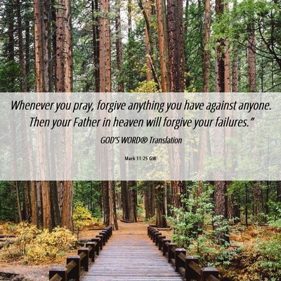Picture 06 - Mark 11:25 GW - Whenever you pray, forgive anything you have - Bible Verse Picture