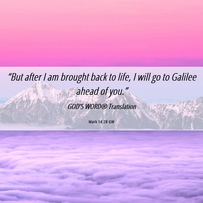 Picture 06 - Mark 14:28 GW - “But after I am brought back to life, I will go - Bible Verse Picture