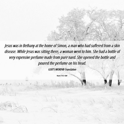 Picture 06 - Mark 14:3 GW - Jesus was in Bethany at the home of Simon, a man - Bible Verse Picture
