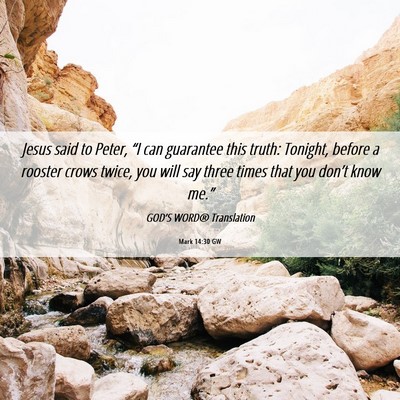 Picture 06 - Mark 14:30 GW - Jesus said to Peter, “I can guarantee this - Bible Verse Picture